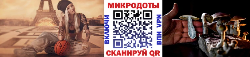 Псилоцибиновые грибы мухоморы где продают Славск